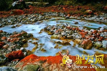 海螺沟1.jpg
